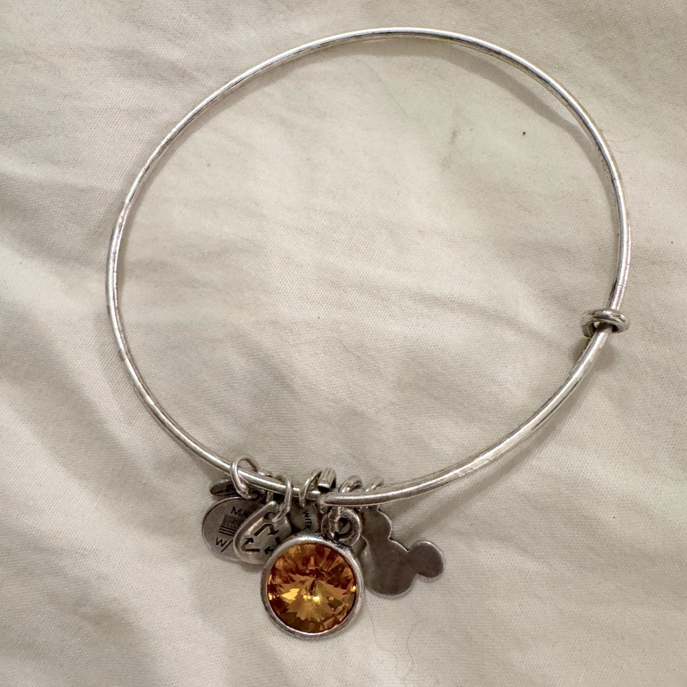 Alex and Ani Disney exclusive January birthstone charm bangle RF Silver